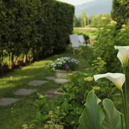 Chicco * Massa (Tuscany)